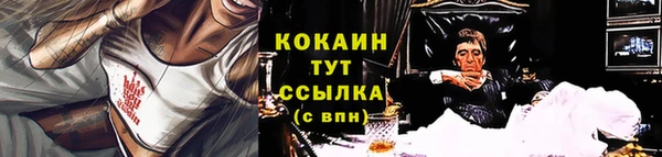 гидра Нея