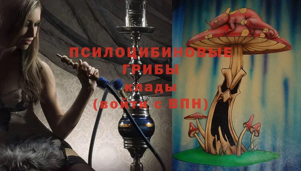 каннабис Алзамай