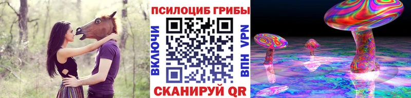 Галлюциногенные грибы Cubensis  Поронайск 